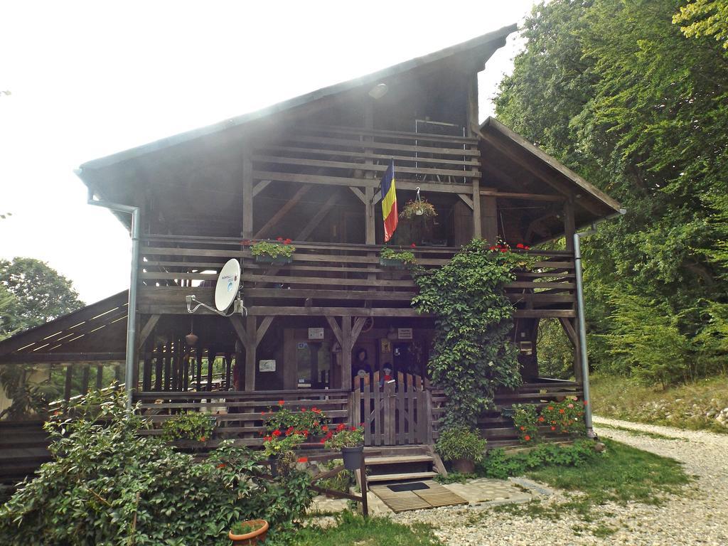 Cabana La Noi Ξενοδοχείο Rîşnov Εξωτερικό φωτογραφία