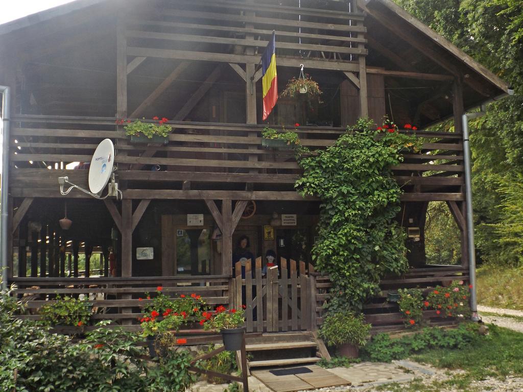 Cabana La Noi Ξενοδοχείο Rîşnov Εξωτερικό φωτογραφία