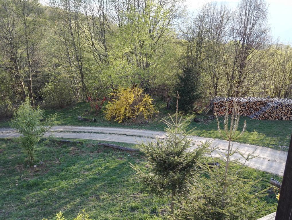 Cabana La Noi Ξενοδοχείο Rîşnov Εξωτερικό φωτογραφία