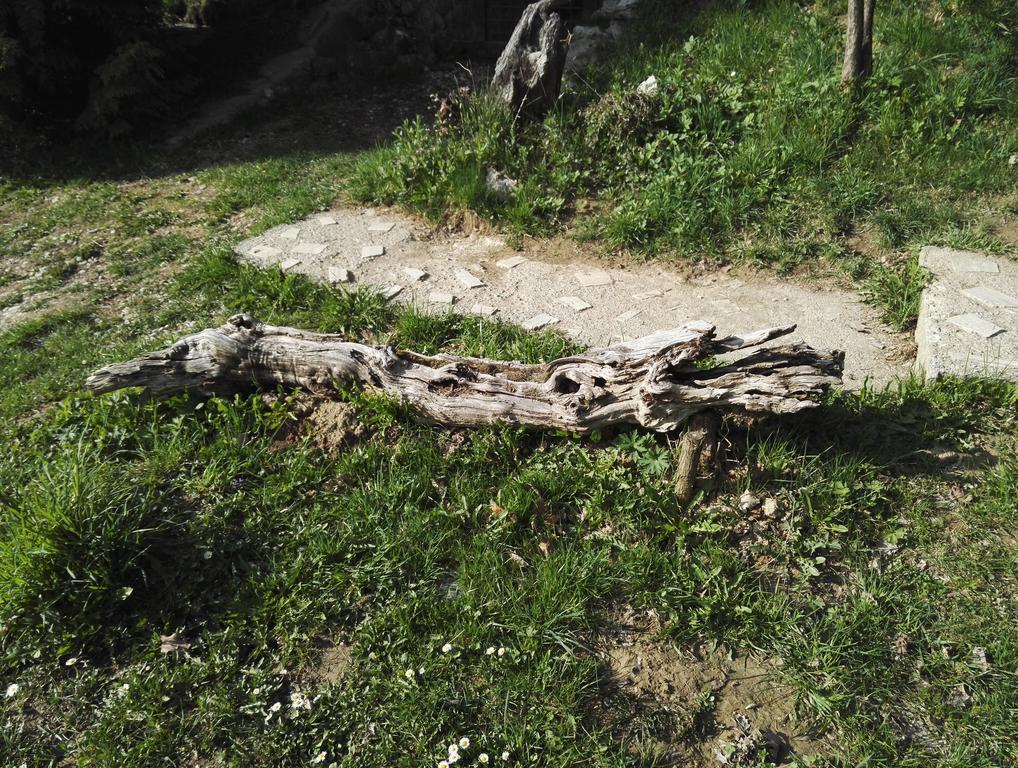 Cabana La Noi Ξενοδοχείο Rîşnov Εξωτερικό φωτογραφία