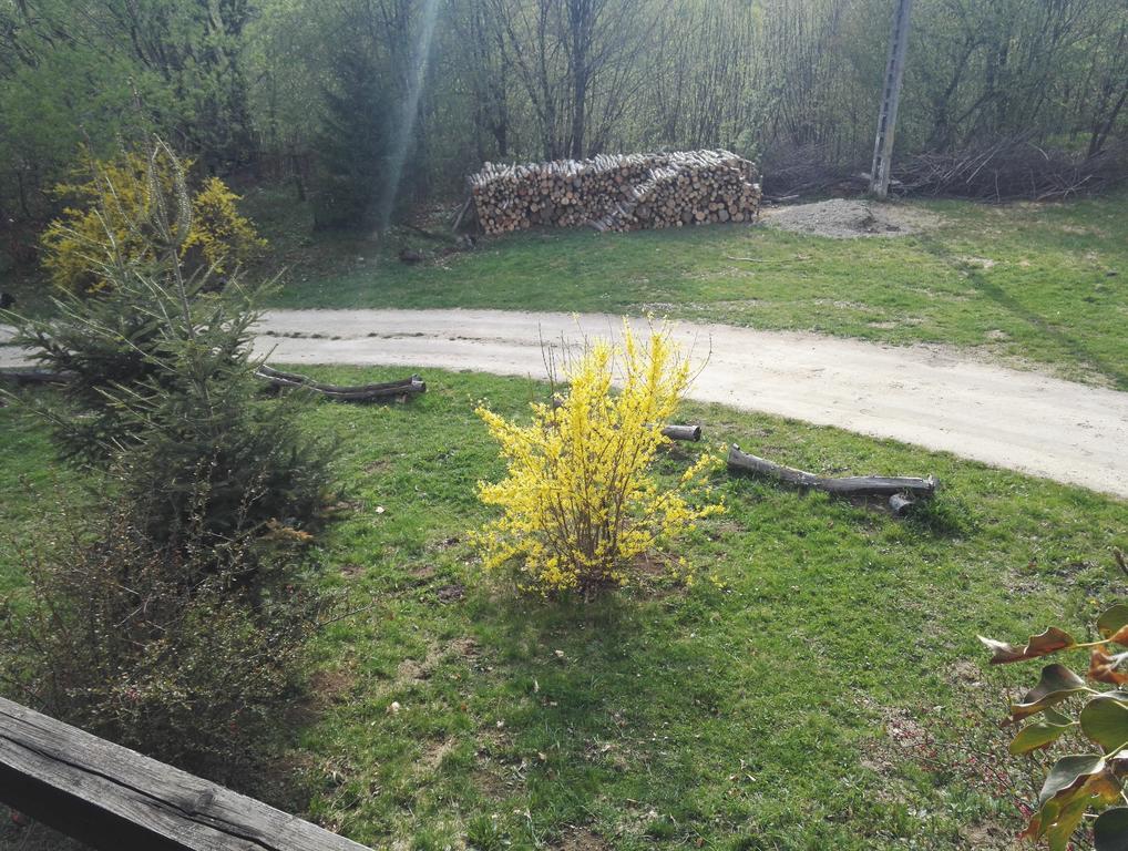 Cabana La Noi Ξενοδοχείο Rîşnov Εξωτερικό φωτογραφία