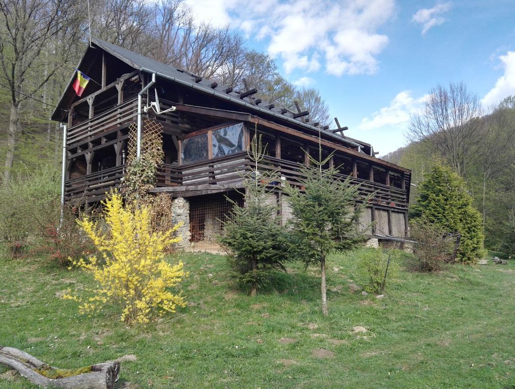 Cabana La Noi Ξενοδοχείο Rîşnov Εξωτερικό φωτογραφία
